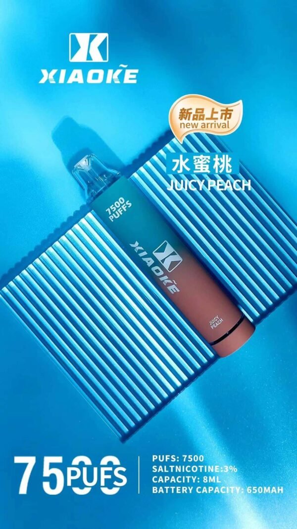 12.jpg XIAOKE 7500 PUFFS 梟客棄式抛電子煙 一次性霧化桿推薦·